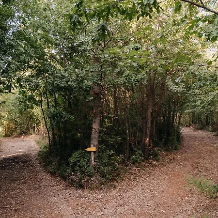 Poggio Al Vento *