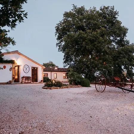 Poggio Al Vento