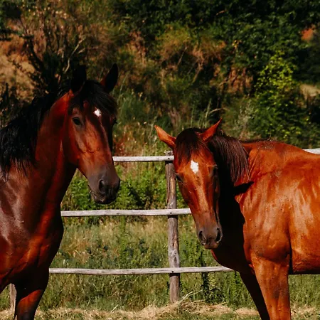 Poggio Al Vento Farm stay