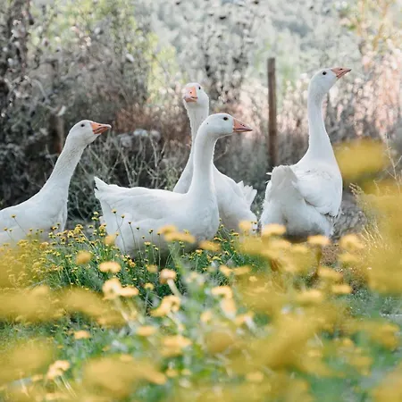 Poggio Al Vento Farm stay