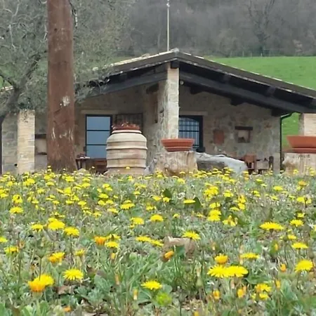 팜스테이 Poggio Al Vento 만시아노